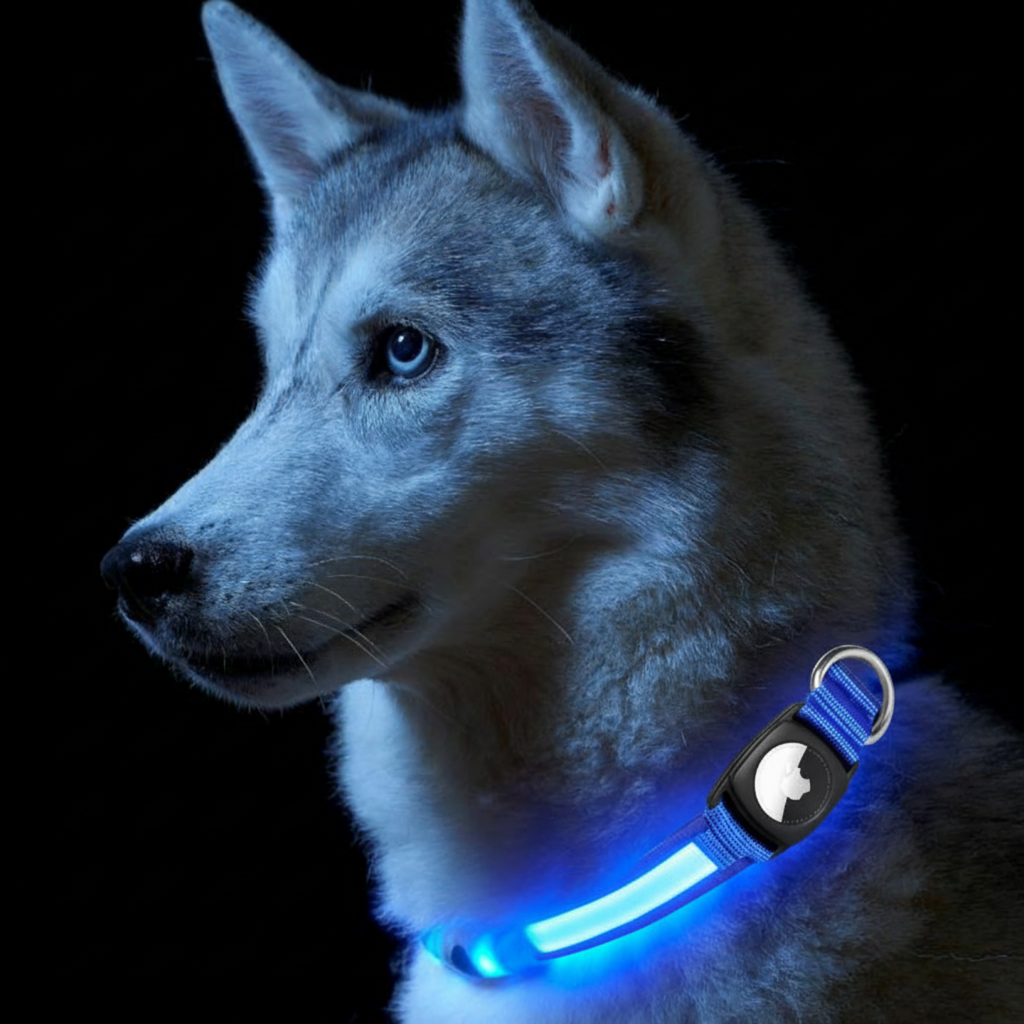 Smart LED Dog Collar with AirTag Holder – Waterproof, Reflective & Adventure-Ready